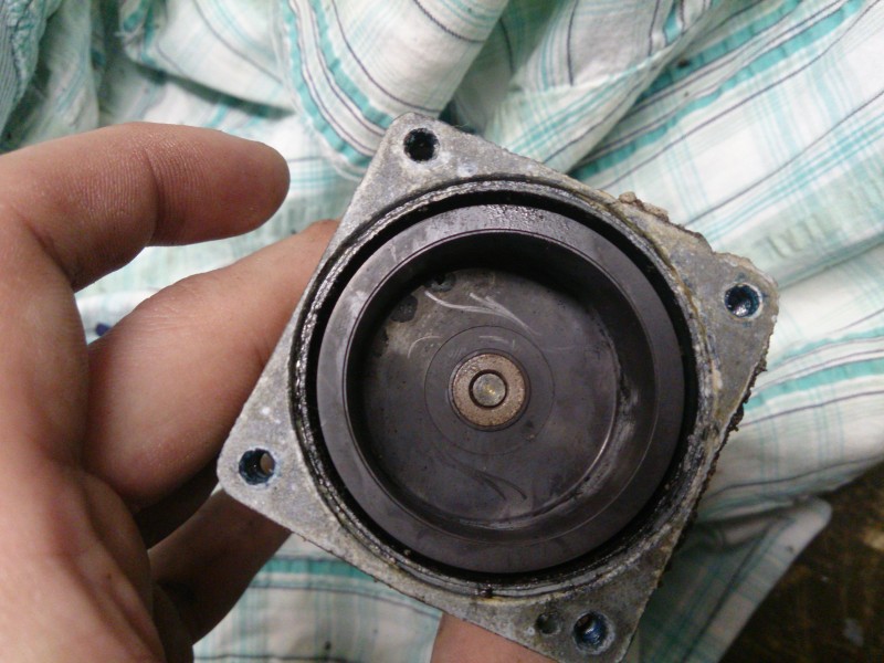 DSC_0146.jpg (2.77 MiB) 14176 zobrazení DSC_0146.jpg