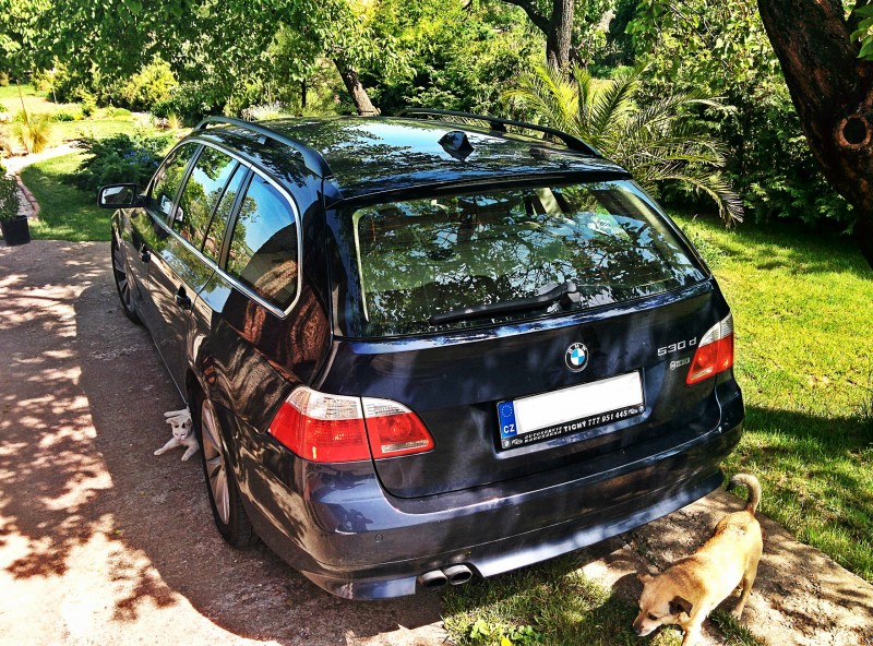 BMW_rear2.jpg