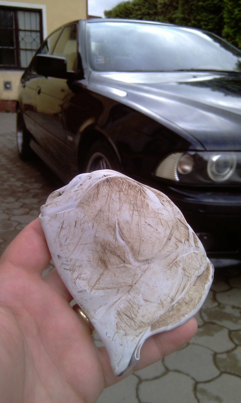 IMAG0220.jpg