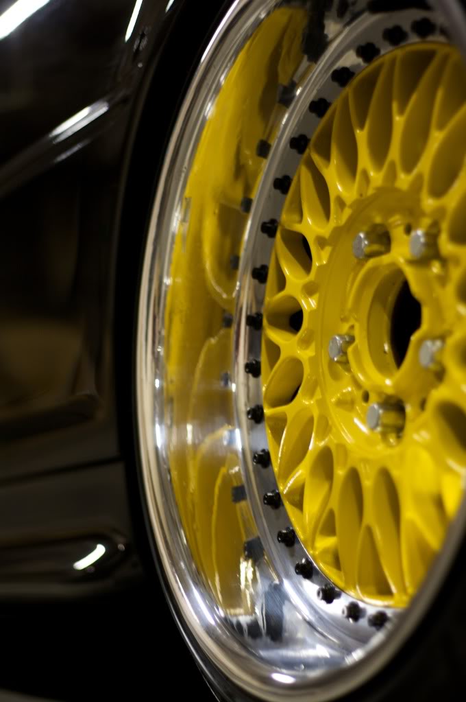 Yellow9.jpg