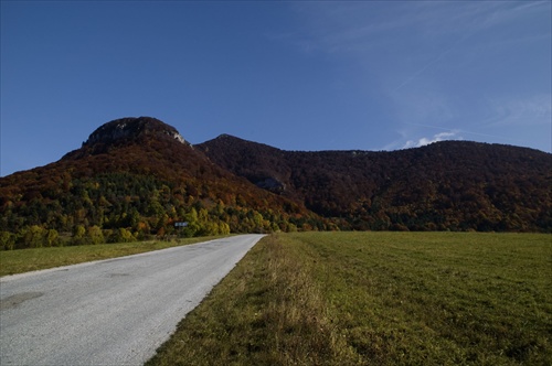 vDS_197788_m.jpg