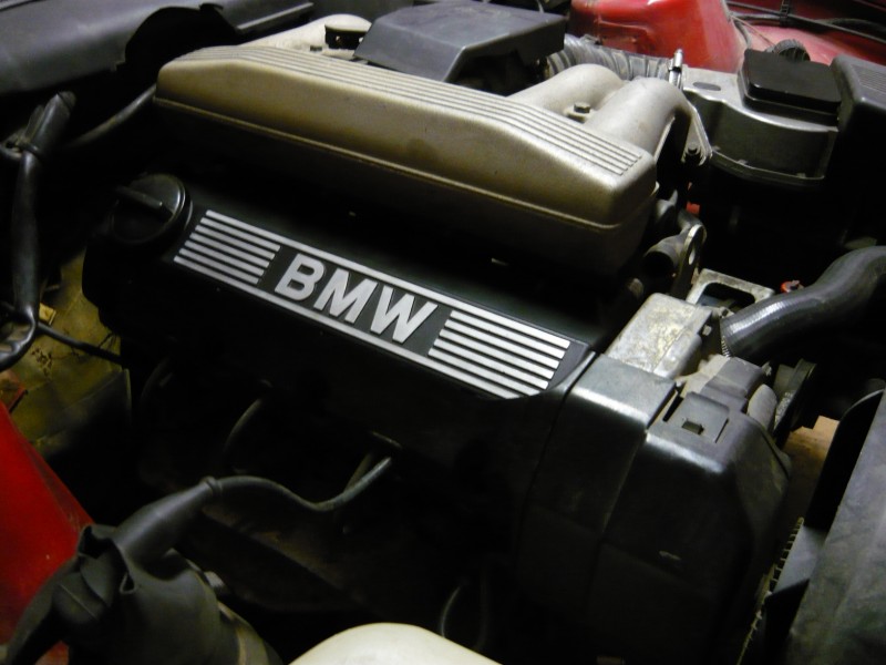 P1000904.JPG