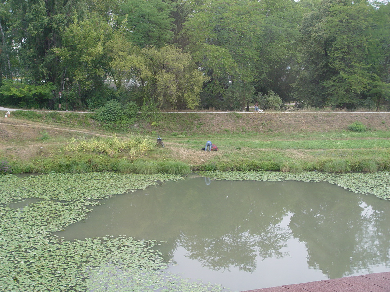 DSC02982.JPG