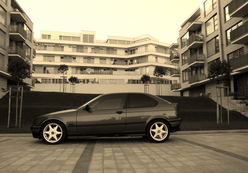 DSCF5590.JPG