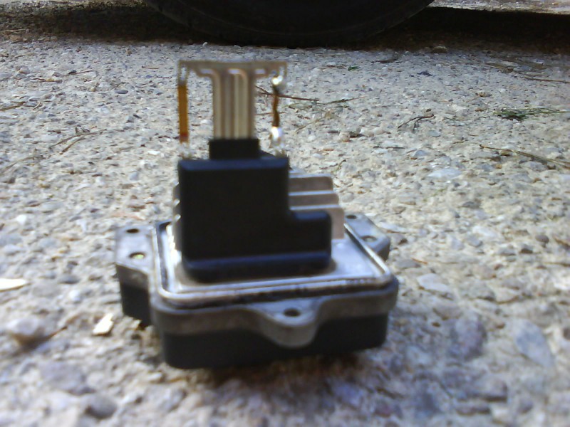 DSC00585.JPG