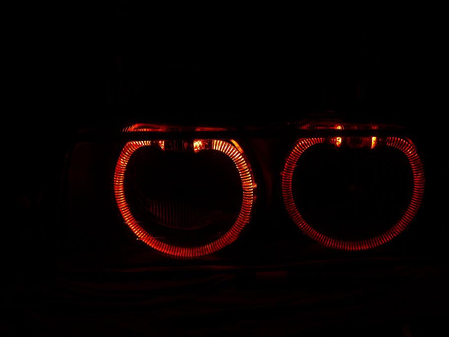 P5289685.jpg