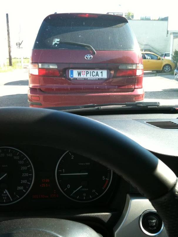 W-pica.jpg