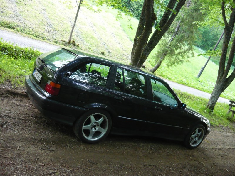 t3.JPG