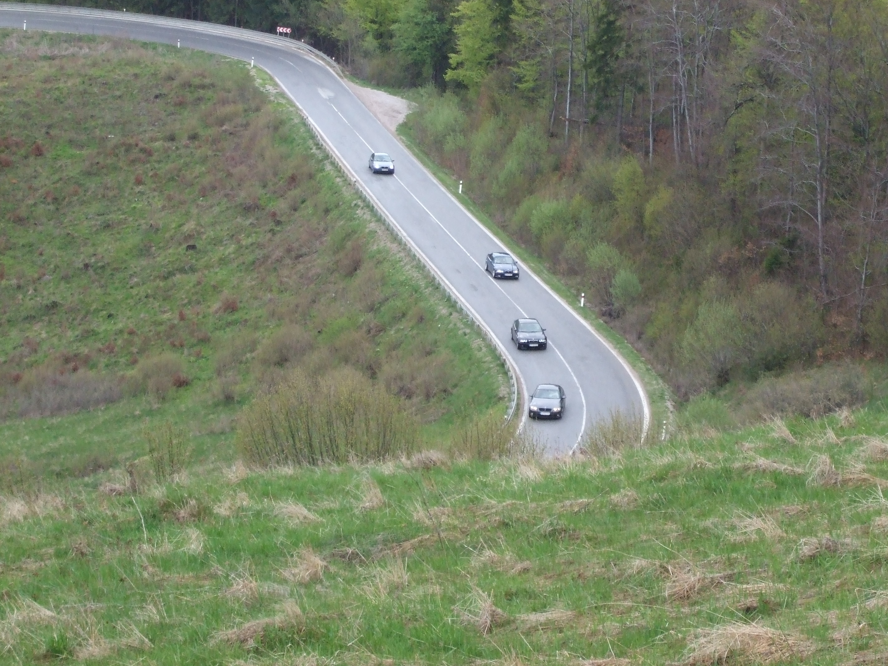 DSCF7558.jpg