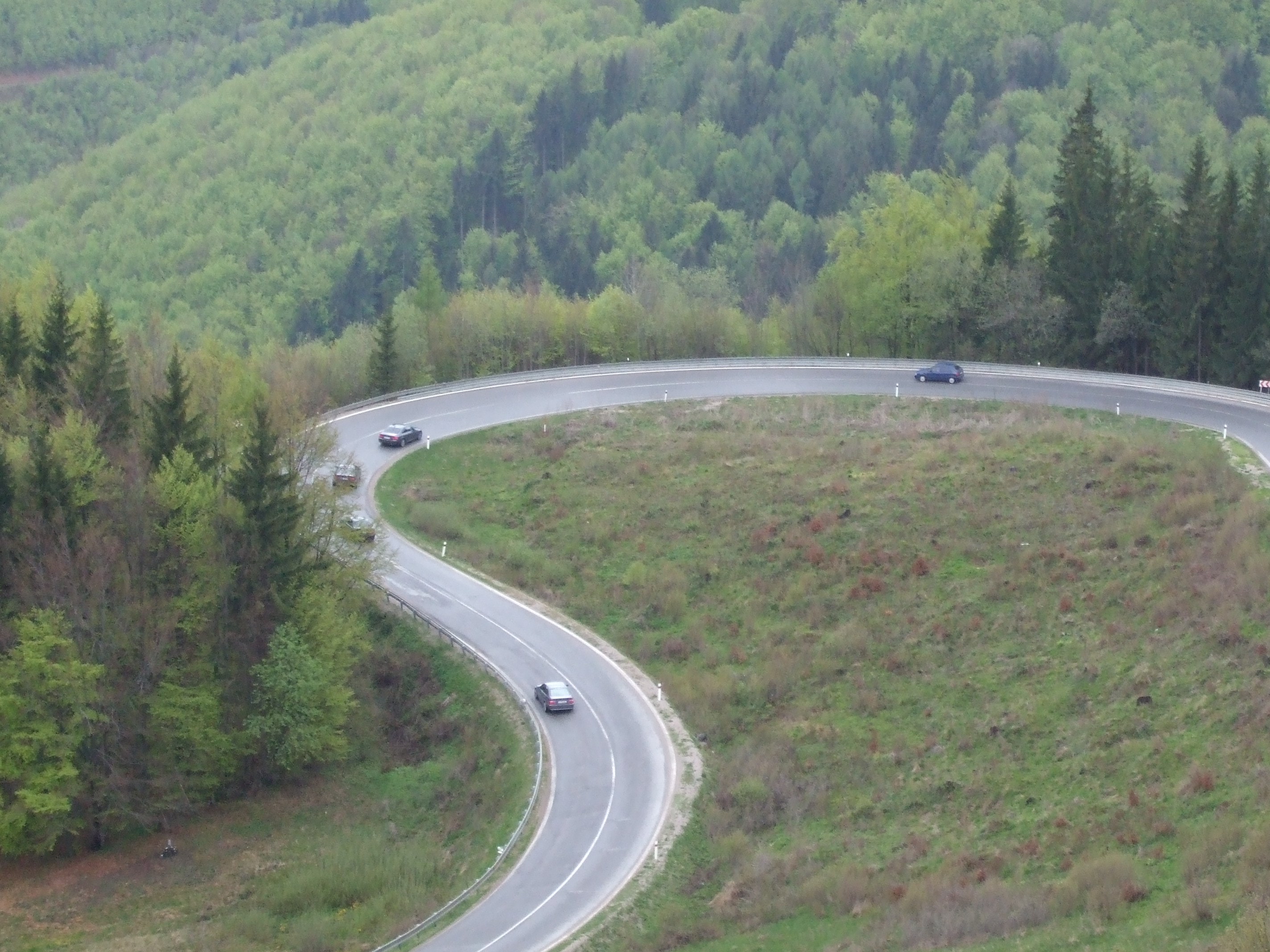 DSCF7556.jpg