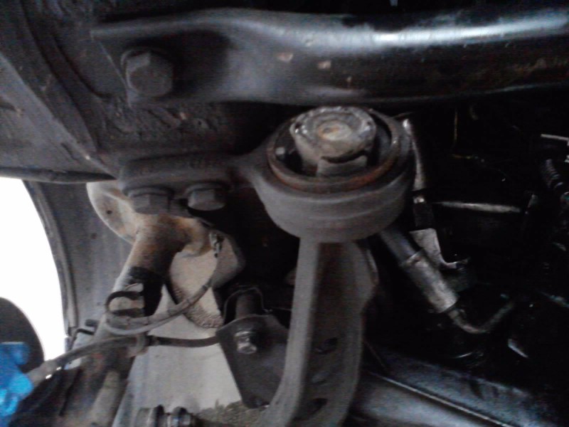 P100611_11.17_[01].jpg