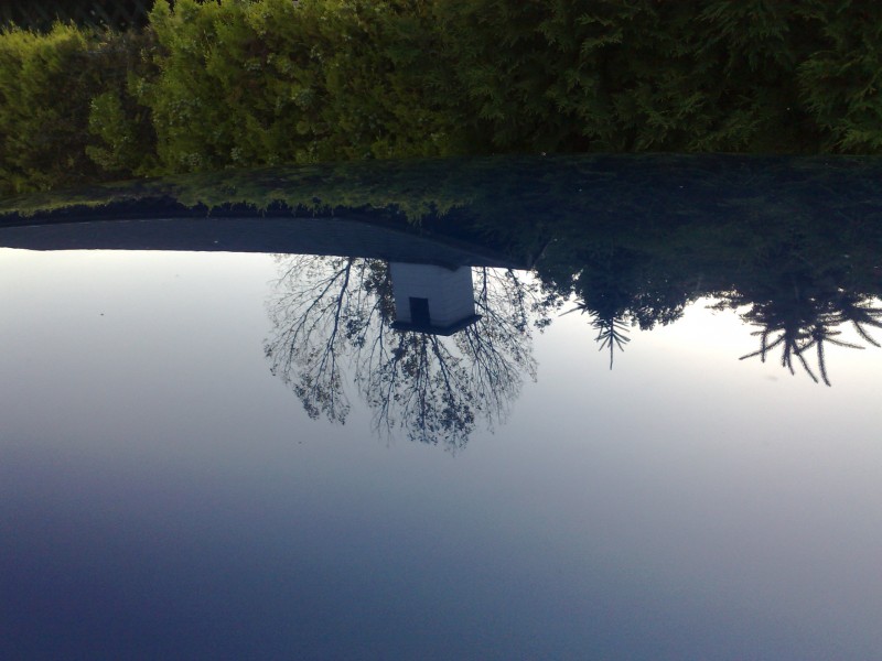 100620111261.jpg