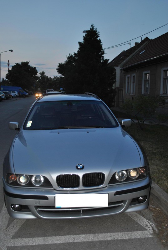 DSC_5528.JPG