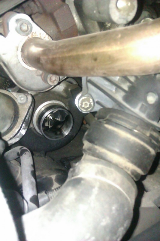IMAG0030.jpg