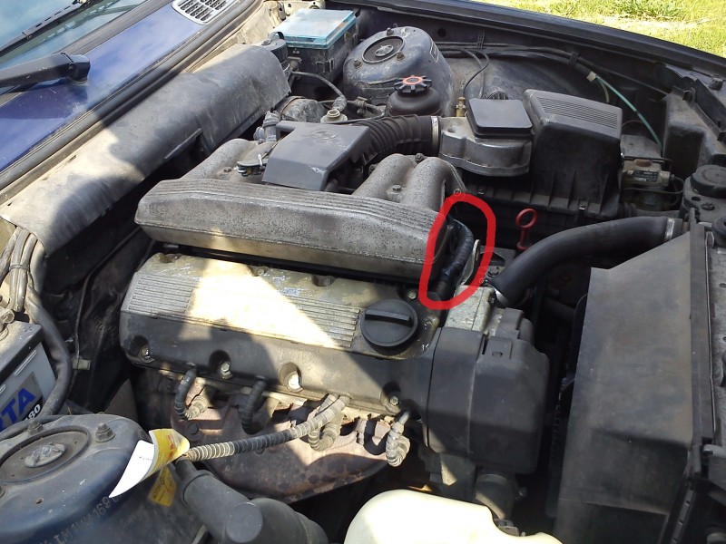 DSC0014999.jpg (1.08 MiB) 1044 zobrazení DSC0014999.jpg