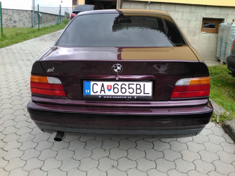 IMG478.jpg