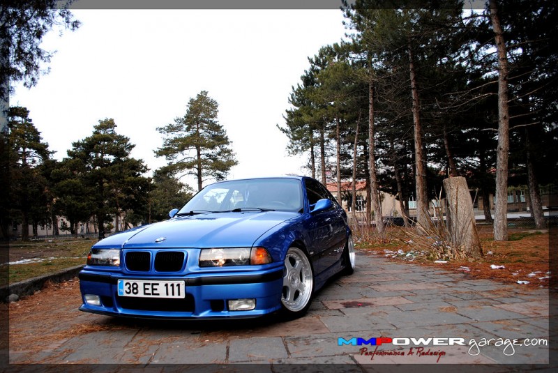 dsc1303z.jpg