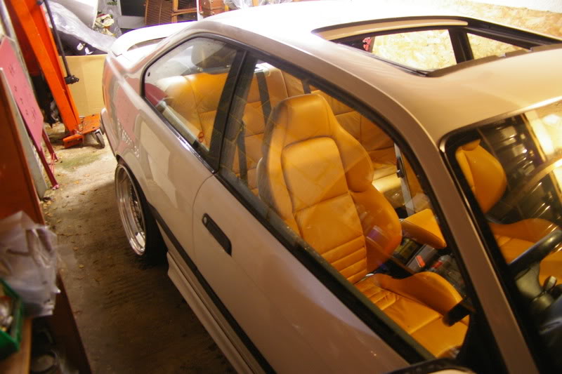 IMGP4655.jpg