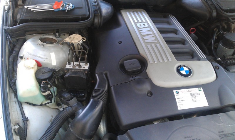 IMAG0656.jpg
