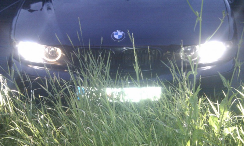 IMAG0449.jpg