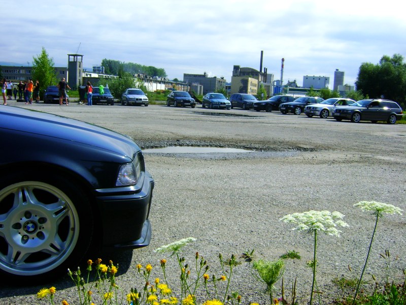 DSC02738.jpg