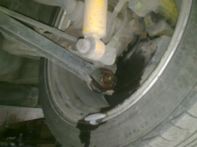 28072011241.jpg