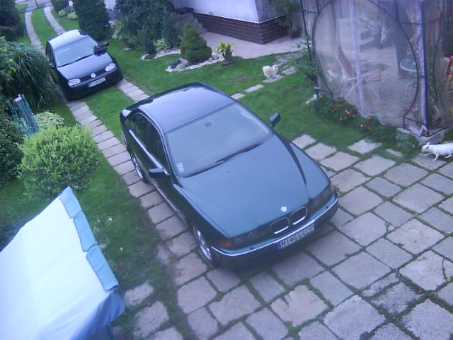 DSC00368.JPG
