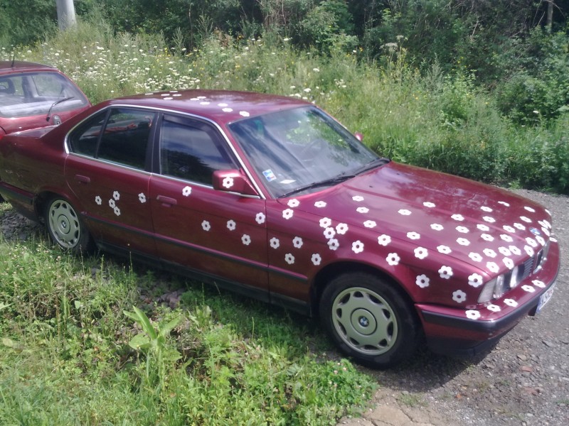 Snímka0386.jpg
