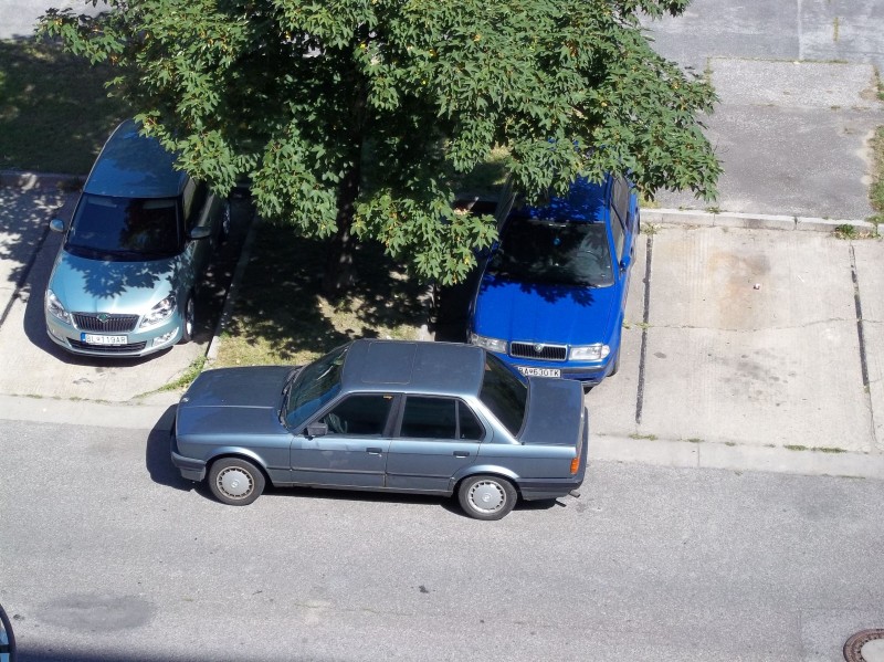 100_0130.JPG