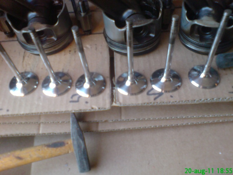 DSC01647.JPG
