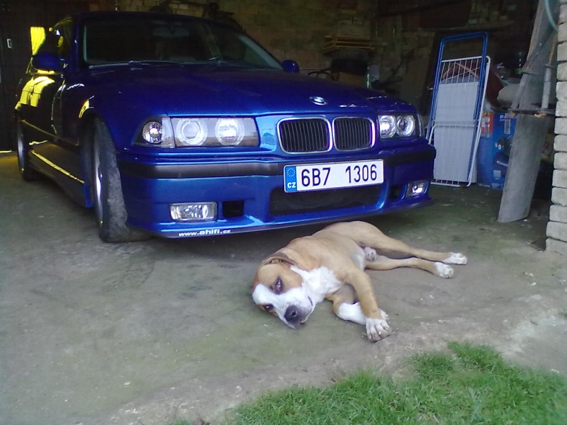20082011170.jpg