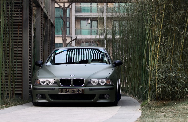 SuperFrezh_e39_3.jpg