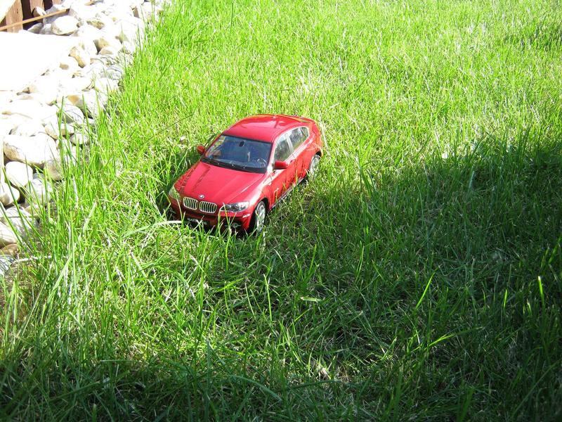 img1929w.jpg