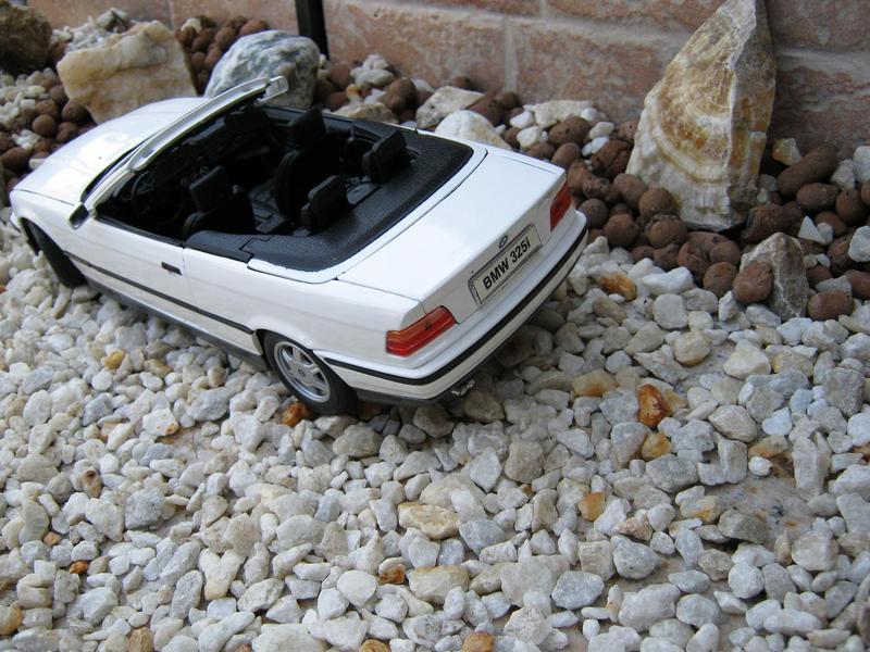 img1991wwerwr.jpg