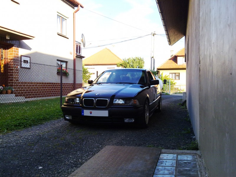 41334249.jpg