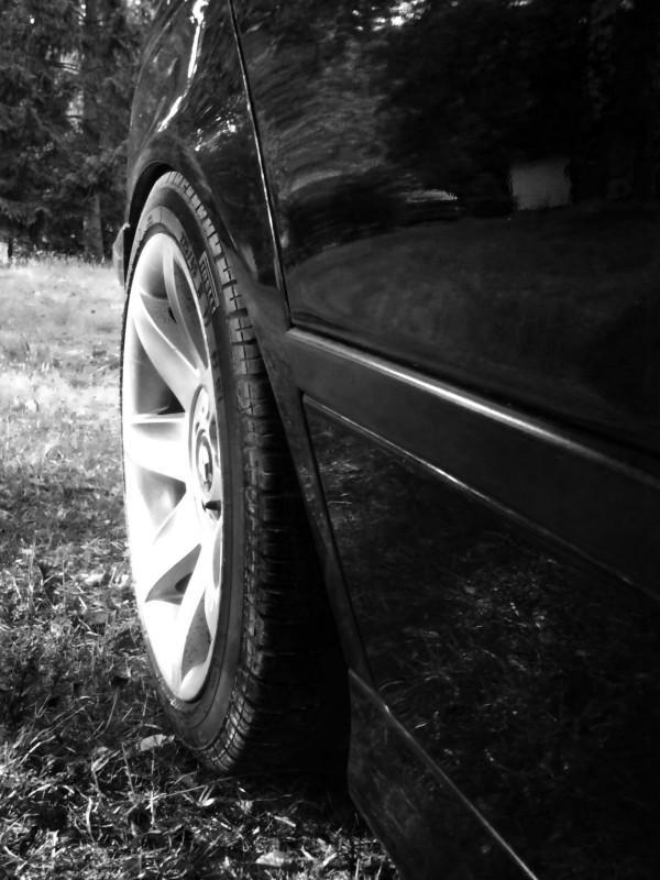 DSC_0342hglkjmnhb.jpg