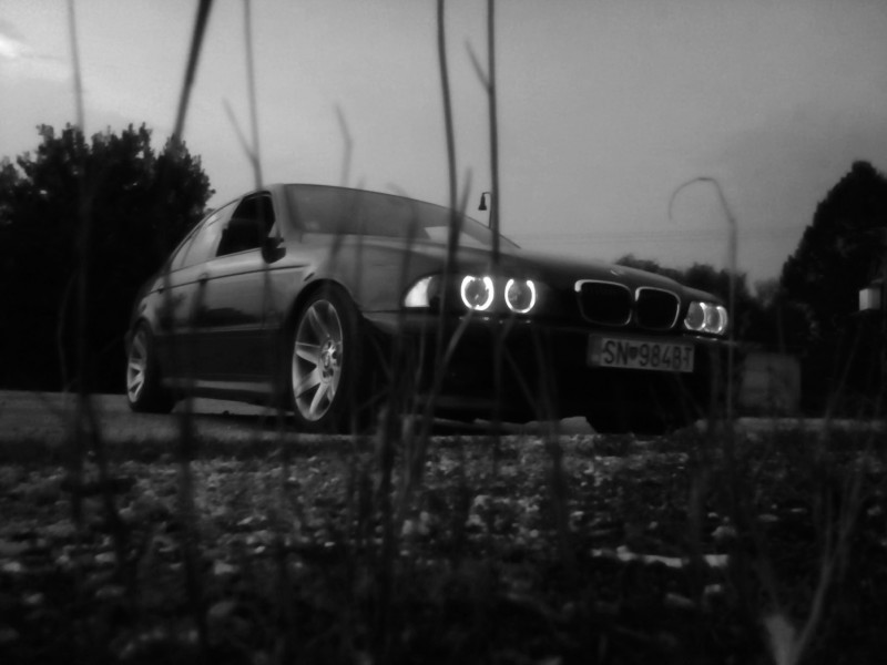 DSC_0467wrj.jpg