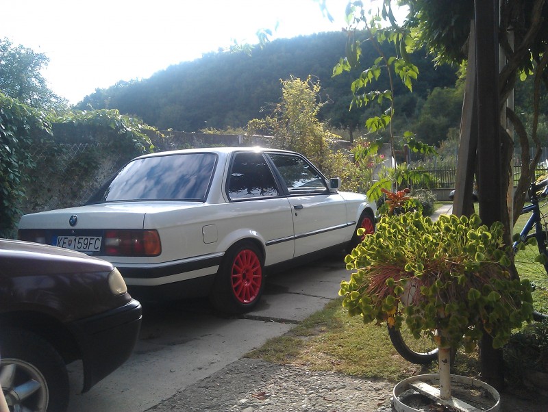IMAG0103.jpg