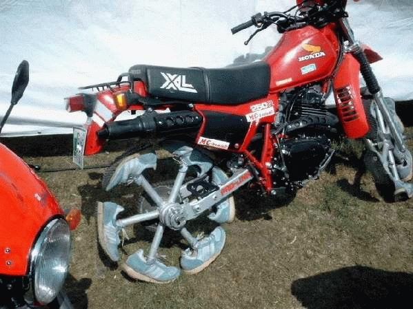 moto.jpg