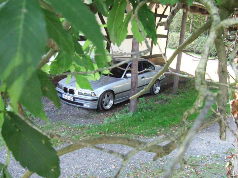 default25.jpg