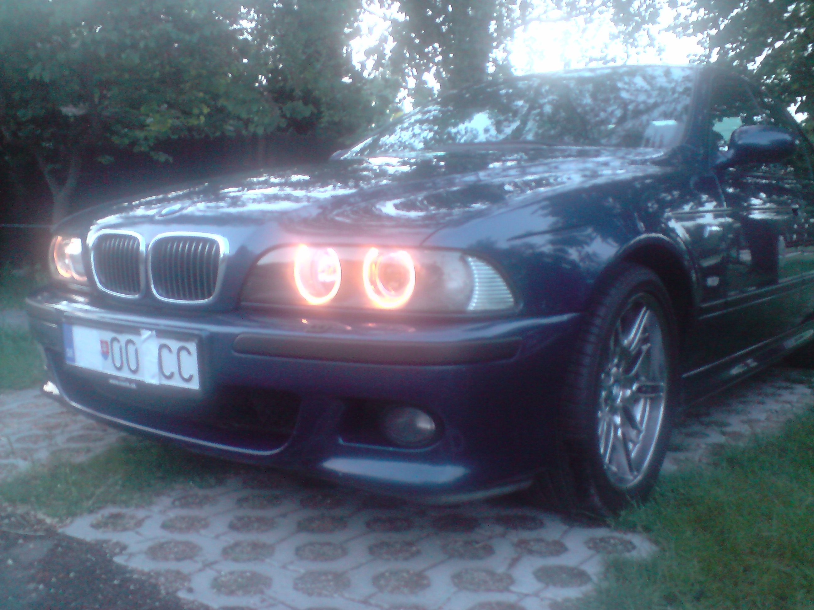 P270508_20.48.JPG