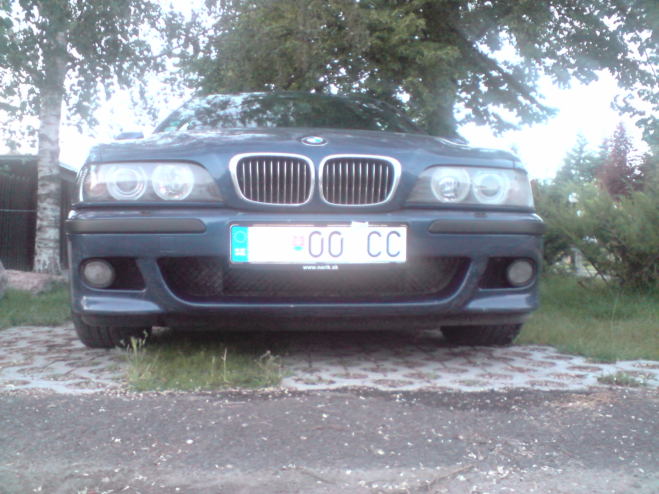 P270508_20.35.JPG