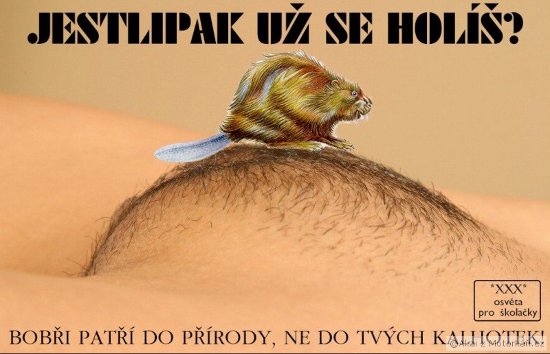 19403_xxxosveta.jpg