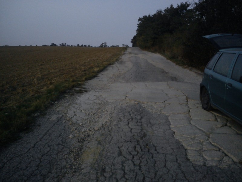 DSC00005.JPG
