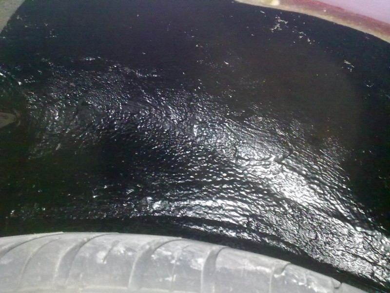 29102011512.jpg