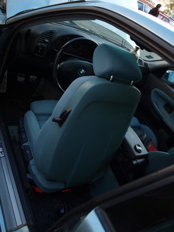 PA312697.JPG