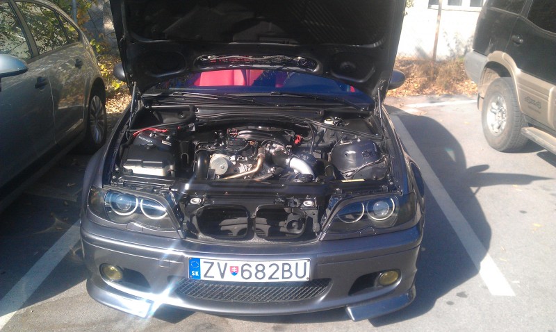 IMAG0887.jpg