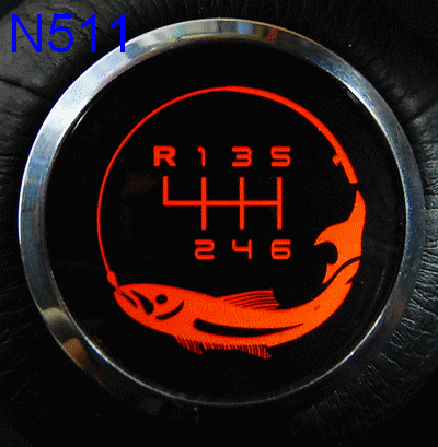 N511.gif