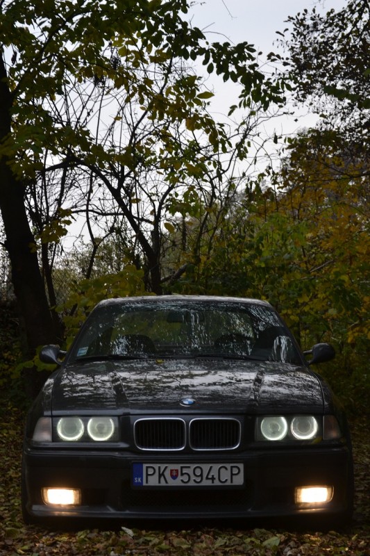 DSC_0467upr.jpg