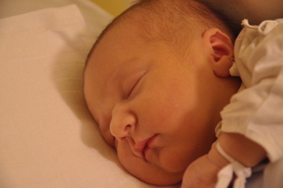 Laurika 4.11.2011 001.jpg